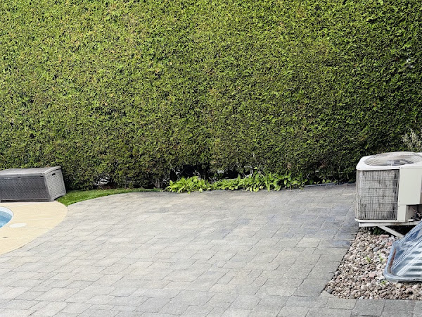 Paving stones redone around a pool